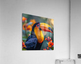 Angelic Toucan Acrylic Print