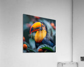 Lovely Toucan Acrylic Print