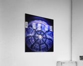 Lucky Reflection Acrylic Print