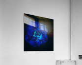 Lucky Blue Rose Acrylic Print