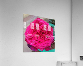 Beautiful Fragrant Rose Acrylic Print