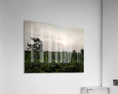 Never Ending Journey Acrylic Print