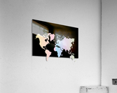 MULTICOLOR PASTEL WORLD MAP Acrylic Print