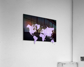 PURPLE SHADE WORLD MAP Acrylic Print