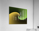 Green Wings Acrylic Print