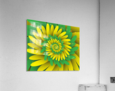 Digital Forest Acrylic Print