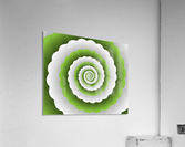 Green Modern Floral Interior Design Acrylic Print