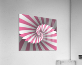 Swiggy Spiral Acrylic Print