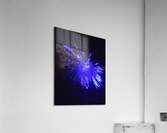 Blue Sparkle Acrylic Print
