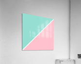 Robin and Bubblegum Abstract Acrylic Print