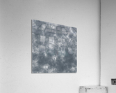 Black Coral Acrylic Print
