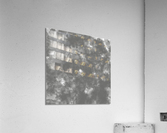 Charcoal Gray Acrylic Print