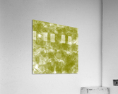 Olive Acrylic Print