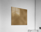 Tan Glass Acrylic Print