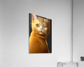 Cat Charisma Acrylic Print