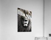 Lion King Acrylic Print