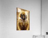 Royal Owl Acrylic Print