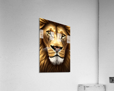 Royal Lion Acrylic Print