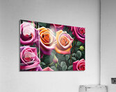 Beautiful Roses Acrylic Print