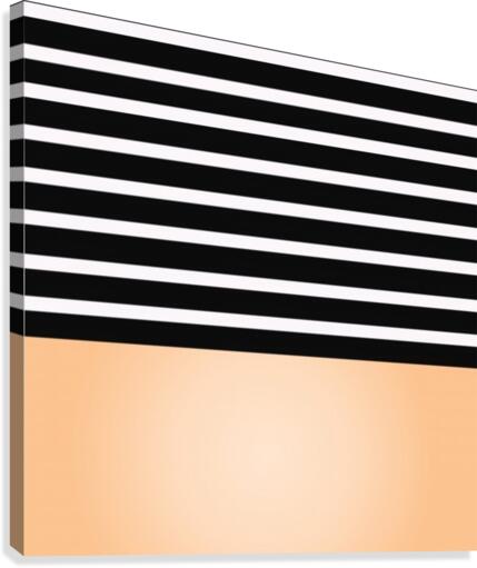 Black & White Stripes with Orange Patch Canvas Print