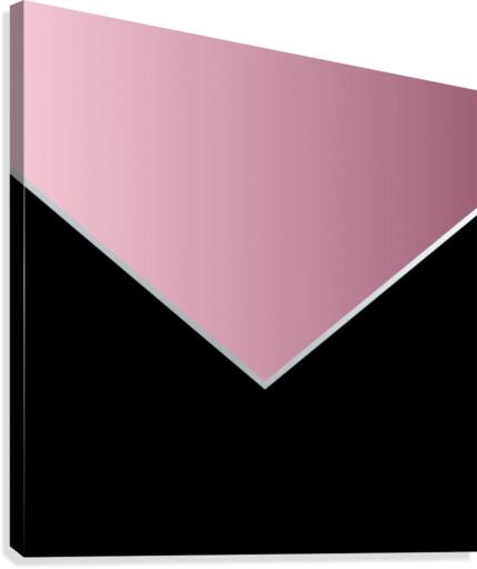PINKY MODERN ABSTRACT Canvas Print