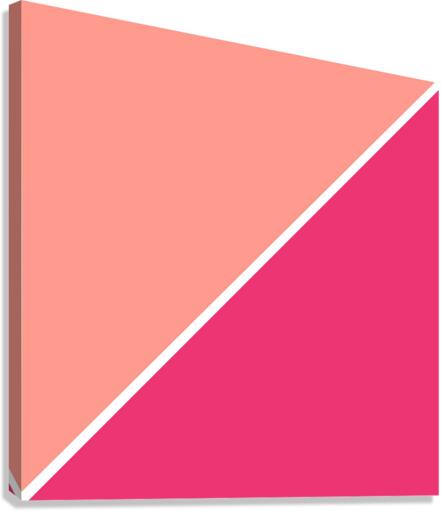 Salmon and Magenta Abstract Canvas Print