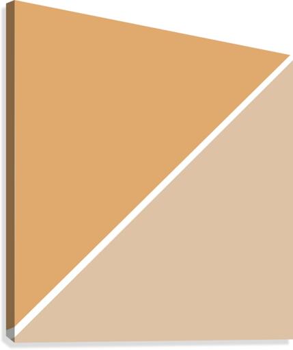 Tan and Beige Abstract Canvas Print