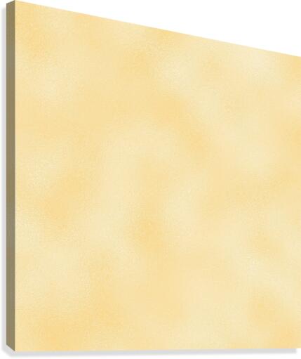 Peach Metallic Foil Canvas Print