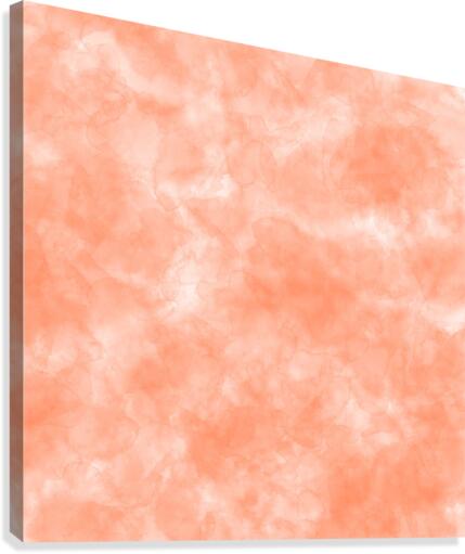 Coral Pink Canvas Print