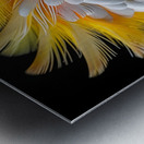 Furry Yellow Cockatoo Metal print