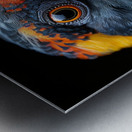 Parrot Beak Metal print