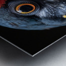 Lory Bird Metal print