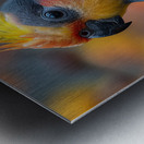 75 Metal print