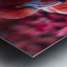 Beauty Flamingo Metal print