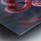 Eternal Love Flamingos Metal print