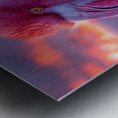 Tropical Flamingo Metal print