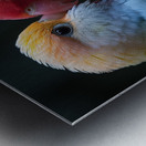 Sweet Lovebird Metal print