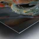 Soulful Bird Metal print