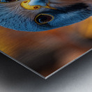 Majestic Quail  Metal print