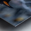 Arctic Sparkle Penguin Metal print