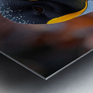 Southern Penguin Metal print