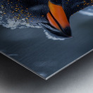 Snowy Penguin Metal print