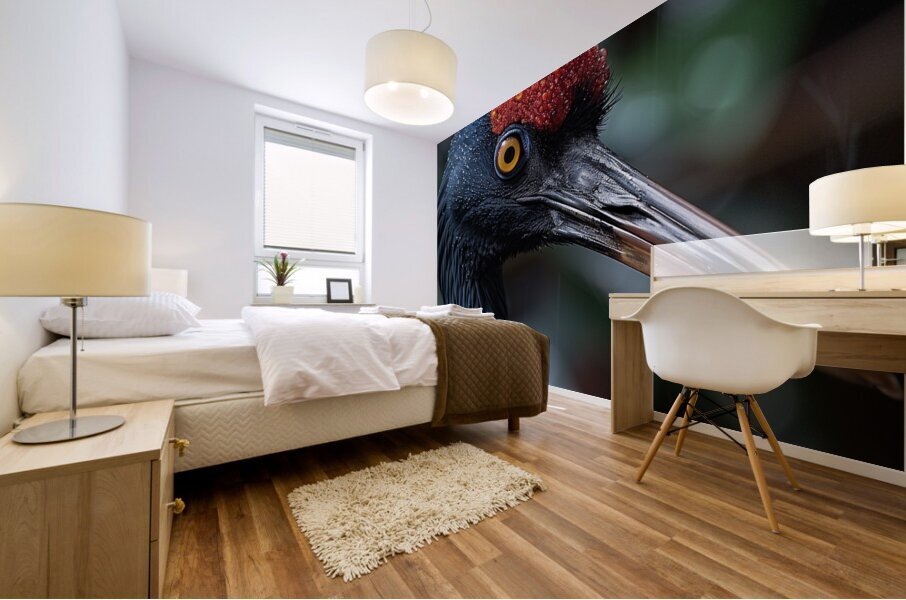 Red Crowned Crane Mural print