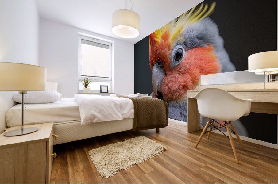 65 Mural print