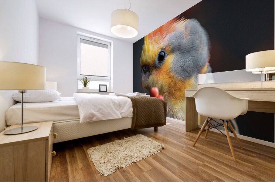 79 Mural print