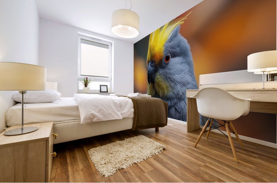 53 Mural print
