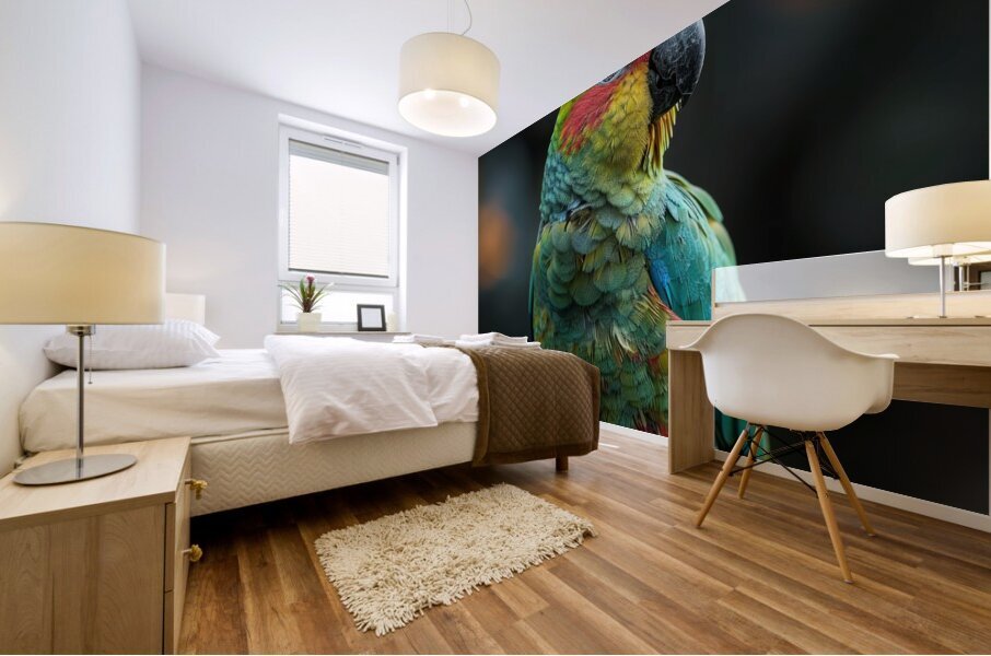 223 Mural print