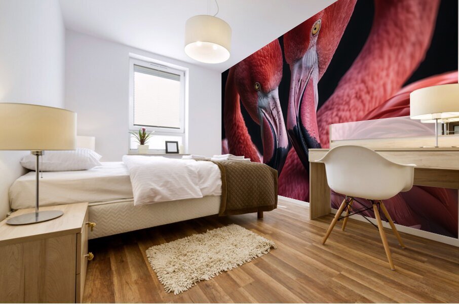Affectionate Flamingos Mural print