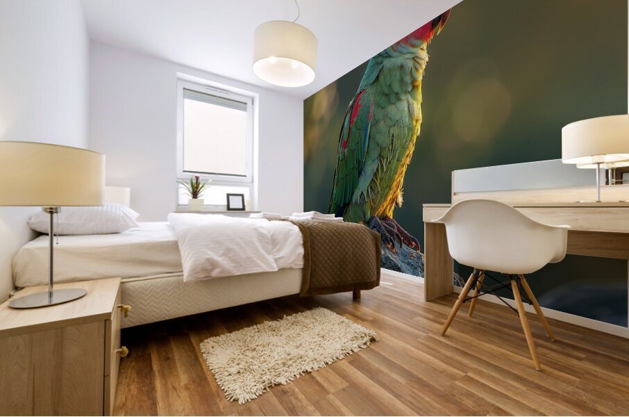 Graceful Parrot Mural print