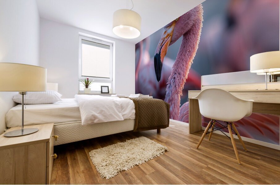 Flamingos  Mural print